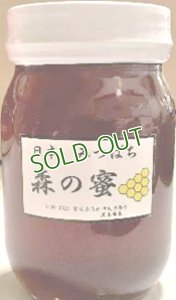 画像1: 黒木栄吉　日本みつばち　森の蜜450g (1)